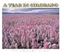 Year in Colorado 2010 Wall Calendar