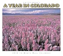 Year in Colorado 2010 Wall Calendar