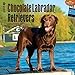 Chocolate Labrador Retrievers 2015 Wall Calendar