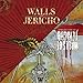 Walls of Jericho, All Hail the Dead / With... [12 inch Analog], 発売中