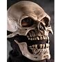 Death Skull w/ Moving Mouth Action Adult Halloween Mask (DM06002)(DZ6-8)