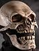 Death Skull w/ Moving Mouth Action Adult Halloween Mask (DM06002)(DZ6-8)