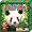 Abacusspiele 03071 Zooloretto, Spiel des Jahres 2007