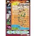 Earth's History Timeline - Educational Poster Chart (40x60cm)