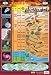 Earth's History Timeline - Educational Poster Chart (40x60cm)