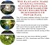 Book The Down and Dirty Earn More Money, Marketing and Inner Game for Wine Cellars Internet Businesses 3 CD Power Pack
