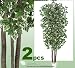 TWO 7' Danica Oak Real Wood Trunks Artificial Trees each with approx. 1260 leaves