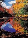 Ravensburger Puzzle - Canada Indian Summer (1000 pieces)