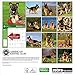 German Shepherds 2017 American Kennel Club Wall Calendar
