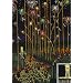 Fireworks: The Art, Science, and Technique