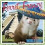 Ferret Frenzy - 2010 Wall Calendar