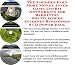 Book The Insider's Earn More Money, Inner Game and Biz Networking for Badminton Shuttlecocks Internet Businesses 3 CD Power Pack
