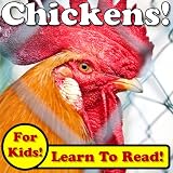 Chickens! Learn About Chickens While Learning To Read - Chickens Photos And Facts Make It Easy! (Over 45+ Photos of Chickens)