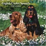 English Cocker Spaniels 2008 Square Wall Calendar