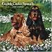 cocker spaniel - English Cocker Spaniels 2008 Square Wall Calendar