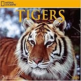 National Geographic Tigers 2009 Calendar