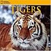 National Geographic Tigers 2009 Calendar