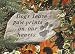 Pet Supplies : Dog Garden Stone: Dogs leave paw prints on our hearts