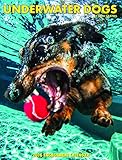 2016 Underwater Dogs Engagement Calendar