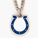 Indianapolis Colts Chain Necklace with NFL Team Logo Pendant