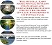 Book The Insider's How To Earn Extra Money, Marketing and Inner Game for SCUBA Masks Biz 3 CD Package