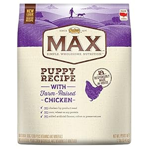 NUTRO MAX Puppy Recipe With Farm Raised Chicken Dry Dog Food 12 Pounds