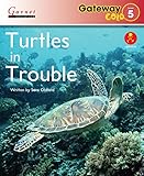 Turtles in trouble