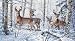 Dimensions Counted Cross Stitch, Woodland Winter