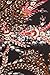 Leggings Depot Women's Popular Plus Red Lotus Capri Cropped Printed Leggings