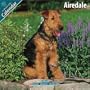 Airedale 2010 Wall Calendar #10002-10