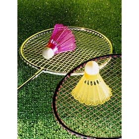 Badminton Rackets and Shuttlecocks Photographic Poster Print, 18x24