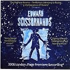 Edward Scissorhands by Lucy Hare, Oliver Benson, Gareth Newman, Gavin McNaughton, and Andrew Fuller