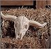 Plastic Longhorn Skull