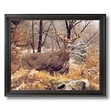 Whitetail Buck Deer And Doe In Snow Animal Wildlife Home Decor Wall Picture Black Framed Art Print