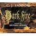 Dark Fire (Shardlake)