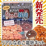 おさわり探偵 リアルなめこ栽培キット