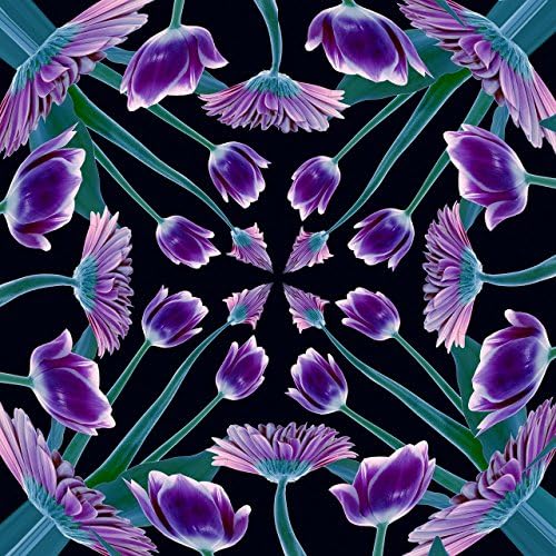 11" X11" Limited Edition Fine Art Photograph by Russ Martin "Purple Daisies and Tulips" COA (10% of profit to be donated to The Nature Conservancy)