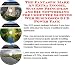 The Fantastic Make An Extra Income, Success Principles and Biz Networking for Computer Sleeves Web Businesses 3 CD Power Pack