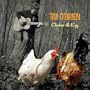 Chicken & Egg