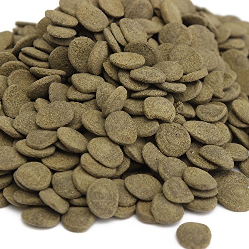 FOCUSPET 1/2lb Spirulina Veggie Algae Wafers Catfish Tropical Bulk Fish Food 200g