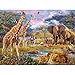 Bits and Pieces - 1000 Piece Jigsaw Puzzle for Adults - Savannah Animals - 1000 pc Jungle Scene Jigsaw by Artist Jan Patrik