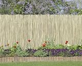 Rainbow R647 Split Bamboo Fencing