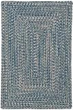 Agua Outdoor Area Rug by Capel Rugs - Seafoam