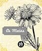 Os Maias - revised and illustrated (Portuguese Edition)