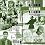 A Leader Becomes a Leader: Inspirational Stories of Leadership for a New Generation