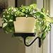 Classic Sconce, Side Mount Pot Holder - Black