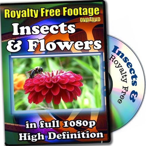 Insects and Flowers - Royalty Free Video Footage High Definition Collection, Commercial Lisence