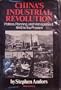 China's industrial revolution: Politics, planning, and management, 1949 to the present (The Pantheon Asia library)