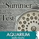 A Summer on the Test: A Classic of Modern Fly-Fishing Literature