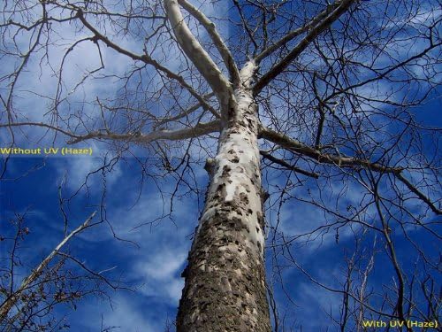 UV (Haze) 1A Multicoated | Multithreaded Glass Filter (46mm) for Panasonic Lumix DMC-GF7